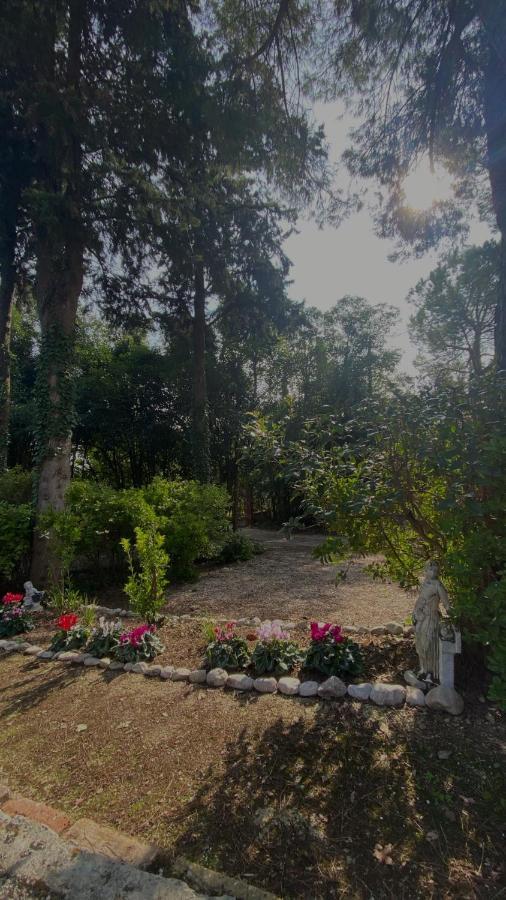 Casal Camillo Otel Case Selva Grande Dış mekan fotoğraf
